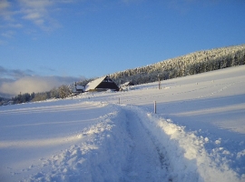 Foto 10