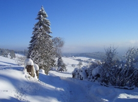 Blick auf die Winterlandschaft