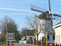 Foto 21