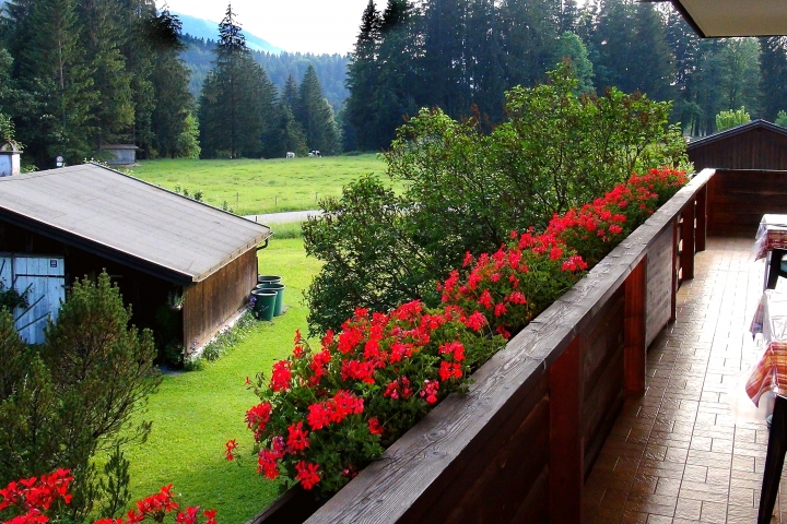 Ferienwohnungen Haus Bartlweber | Aussicht von Balkon FEWO 1