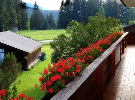 Aussicht von Balkon FEWO 1