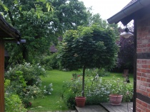 Foto 11