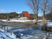 Foto 10