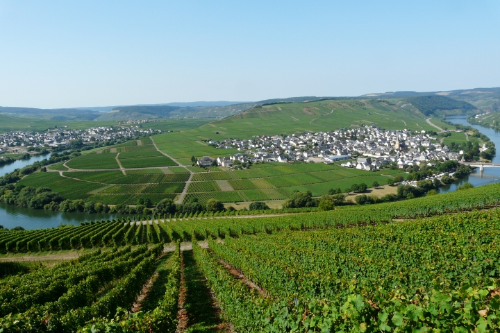 Moselschleife in Trittenheim