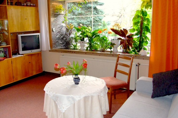 Ferienwohnung Inge in Dresden | Wohnzimmer mit 2 Sofas (davon eine Schlafcouch)