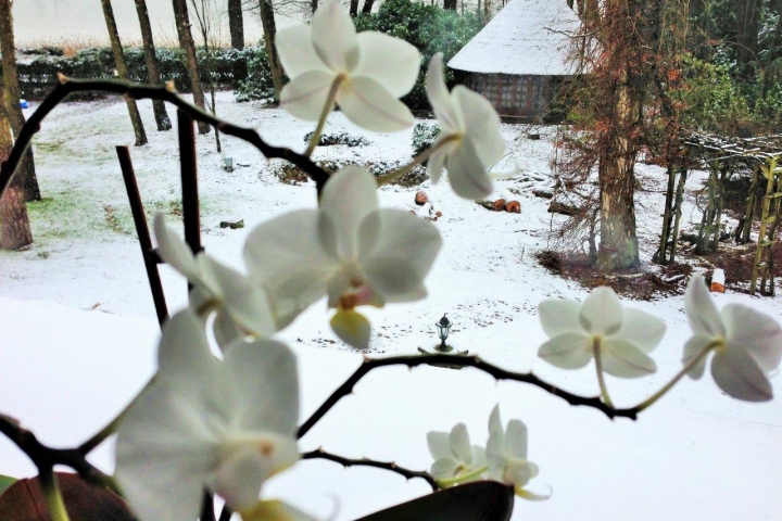Blick vom Balkon im Winter