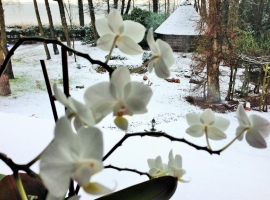 Blick vom Balkon im Winter