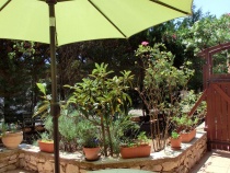 Foto 14