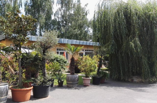 Ferienwohnungen in Dresden Seidnitz &middot; Fewo 3