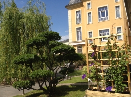 Foto 2