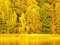Kleiner Pälitzsee im Herbst