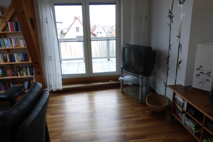 Wohnzimmer mit TV und Zugang zum Balkon, mit Fliegenschutzgittertür.