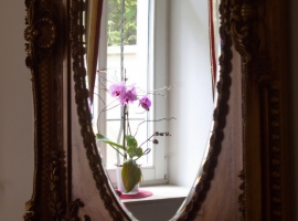 Foto 20