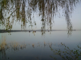 Foto 9