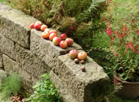 Foto 11
