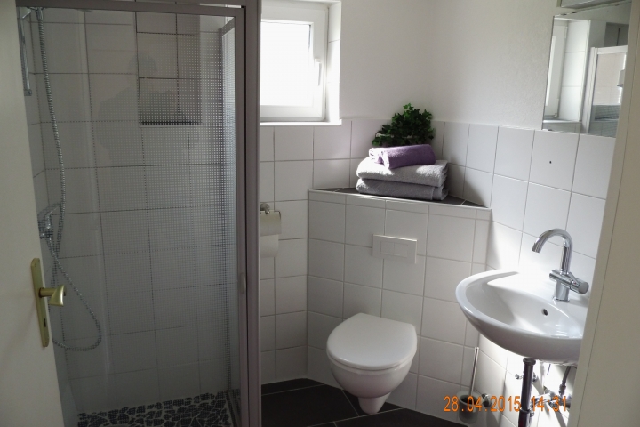 Duschbad mit WC in der unteren Etage