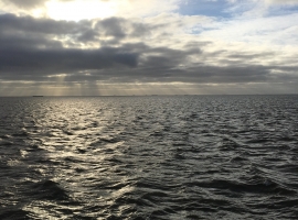 Foto 19