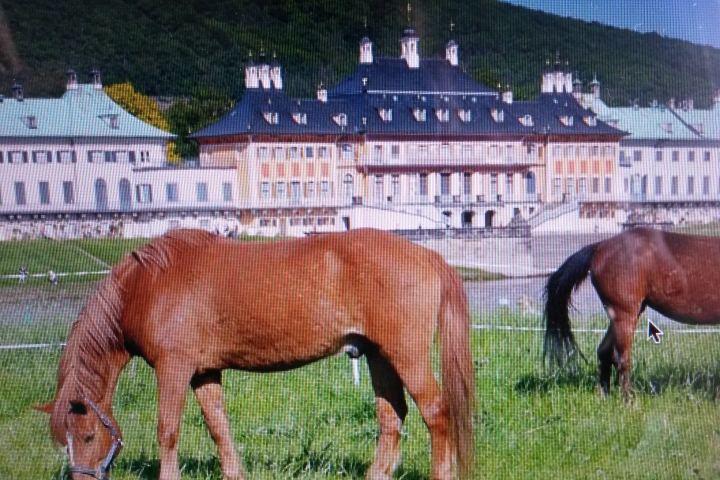 Schloß Pillnitz