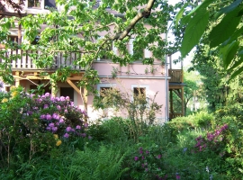 Foto 10