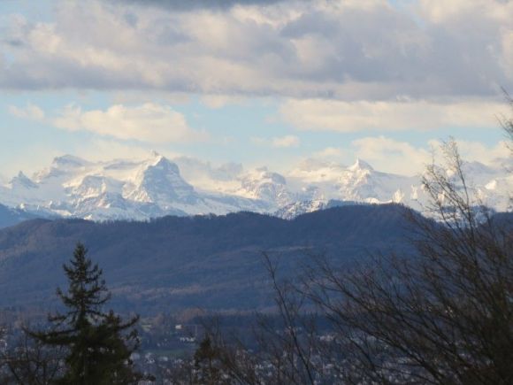Die Alpenaussicht auf dem Panoramaweg hinterm Haus.