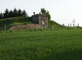 Foto 12