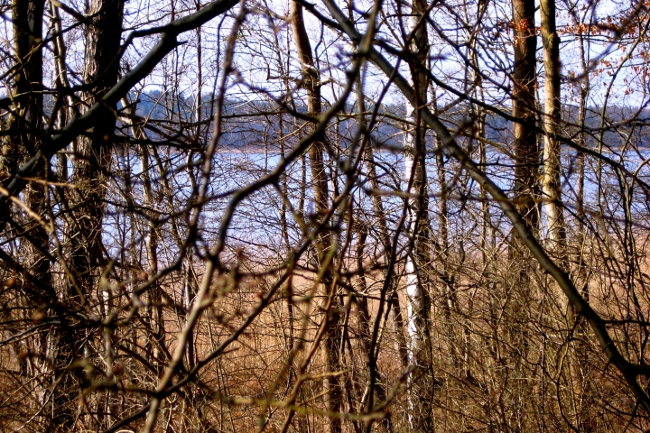Wildnis hautnah erleben