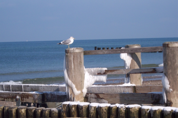 Winter ... am Meer
