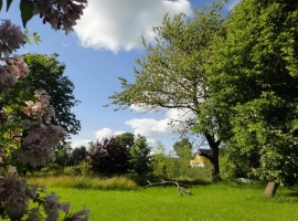Foto 16