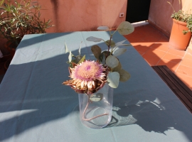 Foto 23
