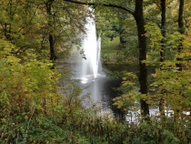 Foto 17