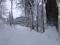 Foto 19