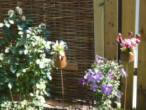 Foto 9