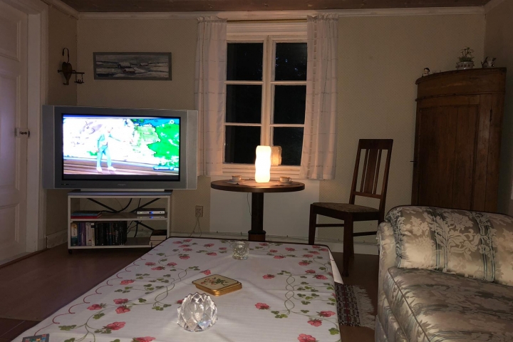 Äußerst hochwertig eingerichtetes Wohnzimmer mit Kachelofen