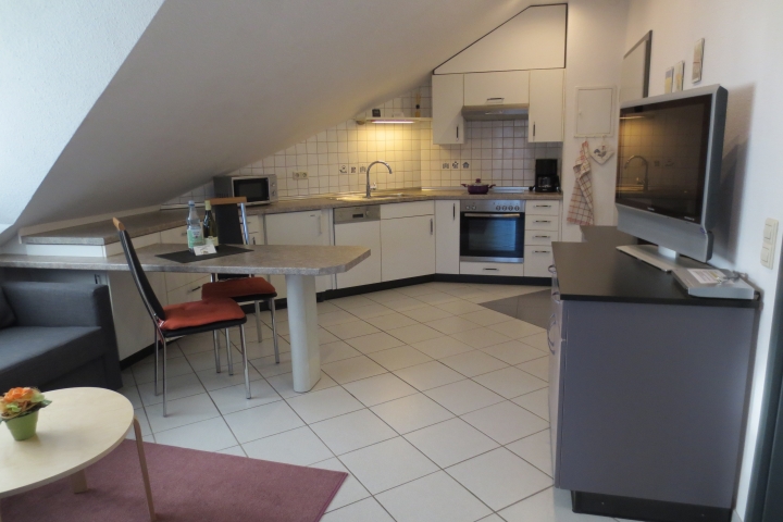 Wohnung (1 Typ A) Koch-Essbereich
