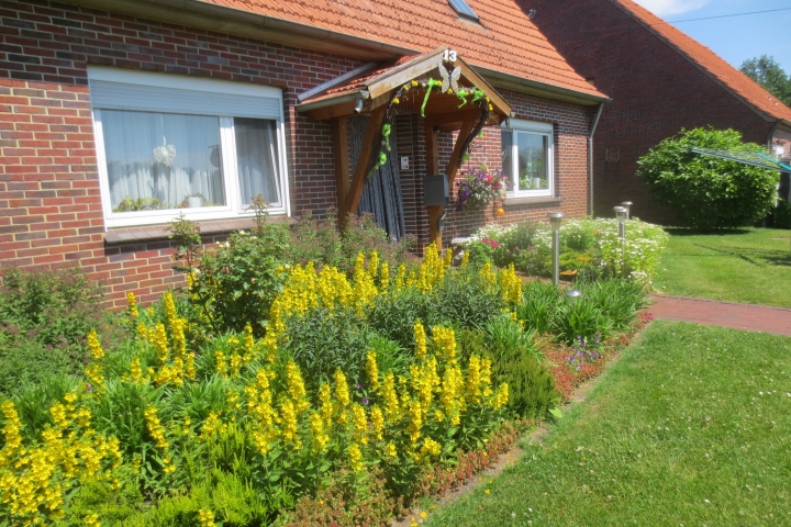 Blumen am Haus in voller Pracht