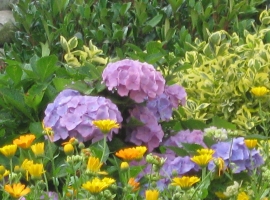 Foto 19