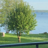 Fewo in Seevilla Ost am Grossen Plöner See