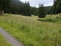 Foto 22