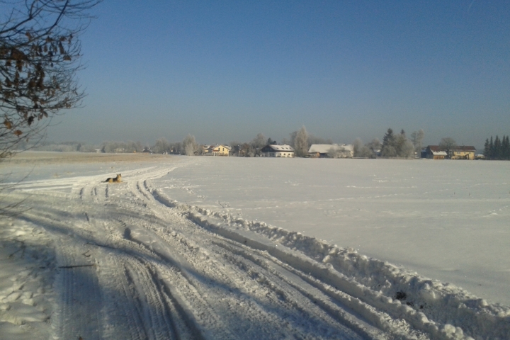 Winter - Feldweg zur FeWo
