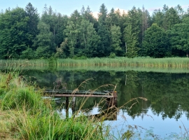 Foto 17