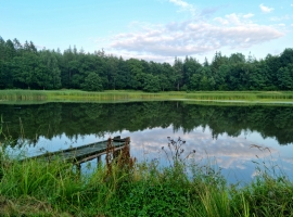 Foto 19