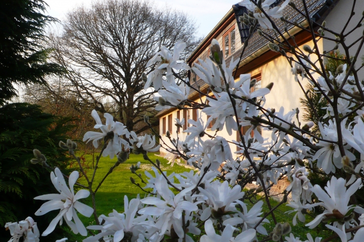 Frühling