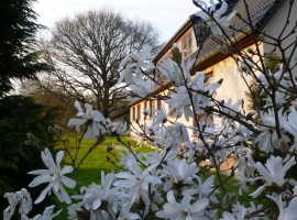 Frühling