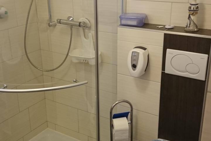 kleines Bad mit Dusche und WC (Haar Föhn vorhanden)