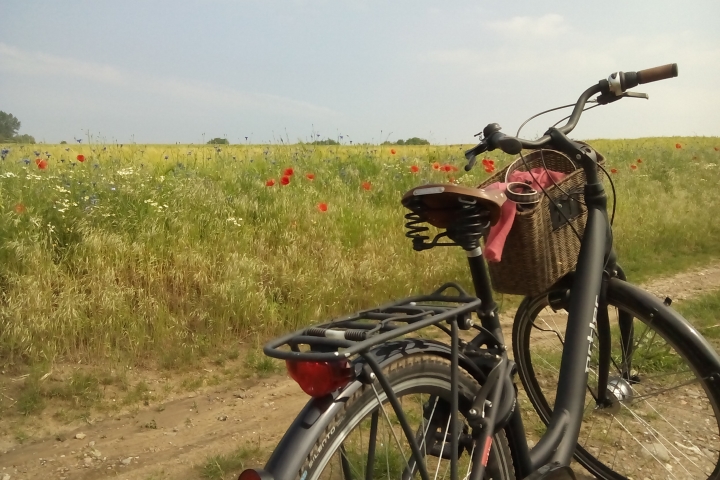 Fahrräder können Sie bei den 2 Reriker Fahrradverleihshops ausleihen