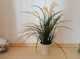 Foto 18