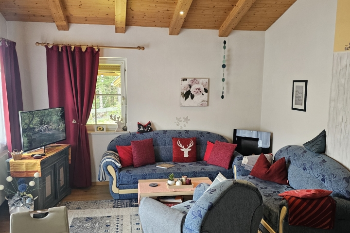 Wohnzimmer Südbalkonwohnung . offenes Giebeldach - behaglich
