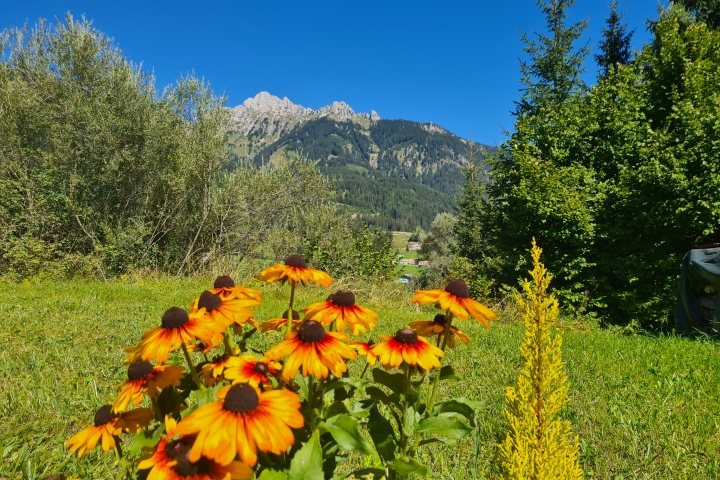 Ausblick Fewo 