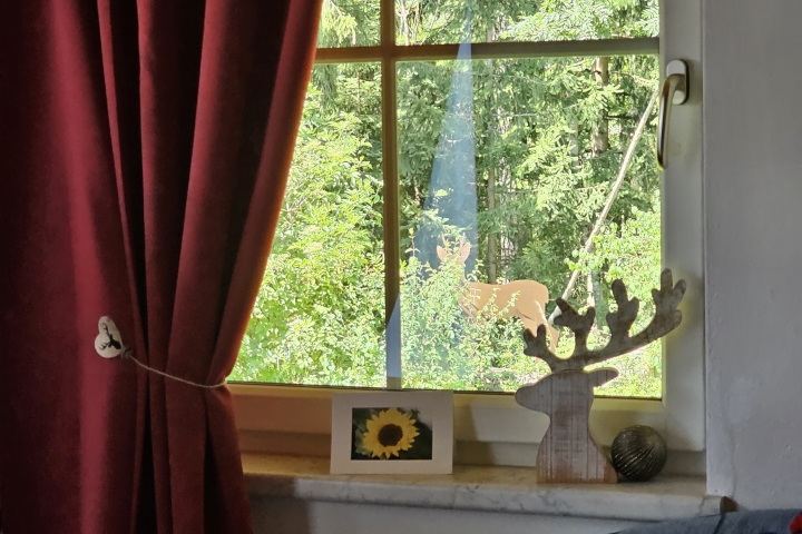 Blick vom Wohnzimmer in den Wald