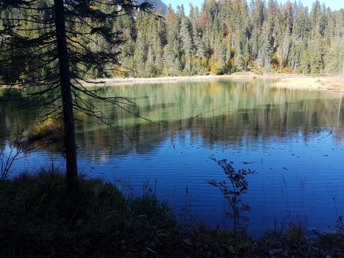 Herbst im Naturschutzgebiet